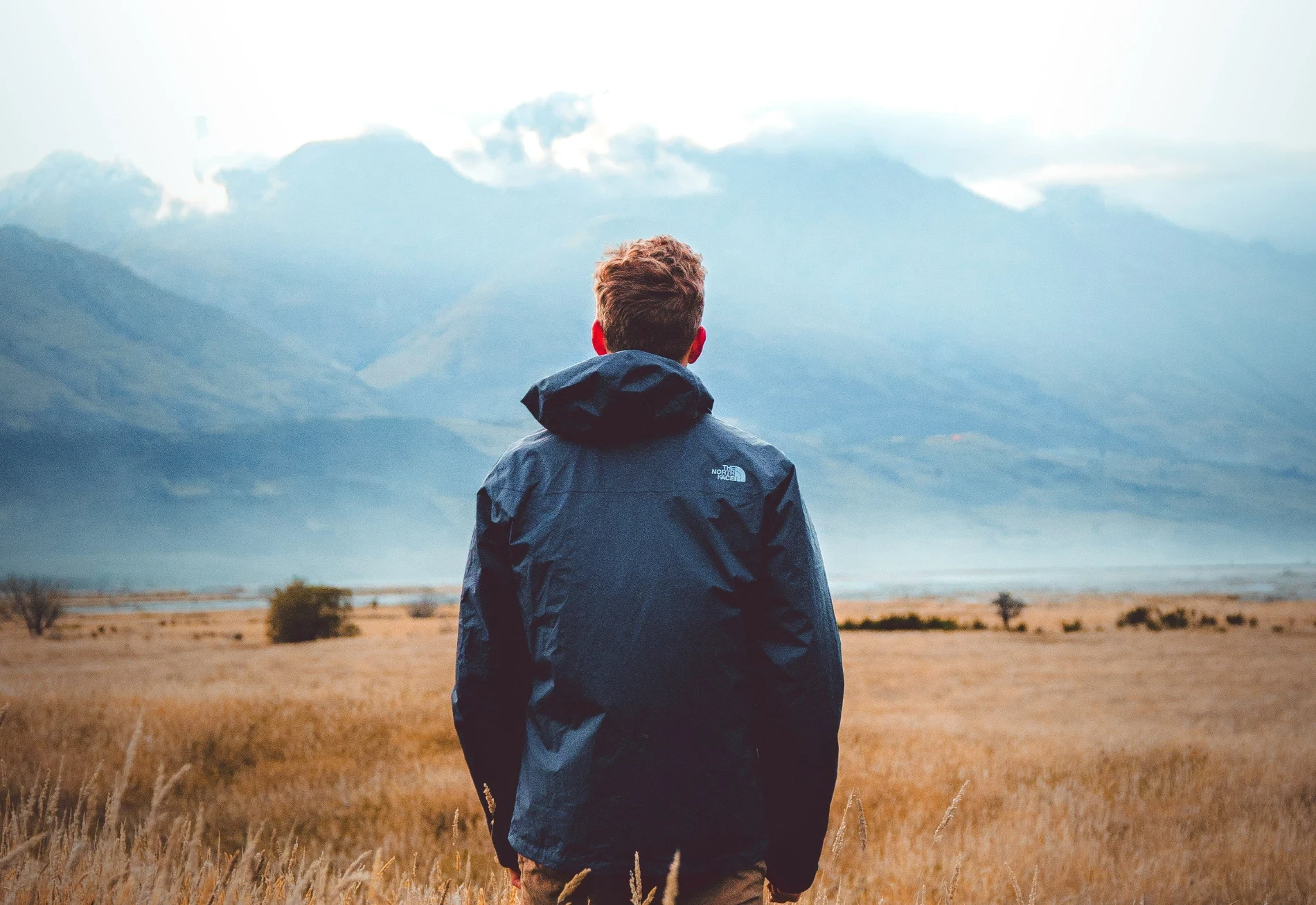 Counseling for Trauma